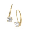 Leverback Earrings