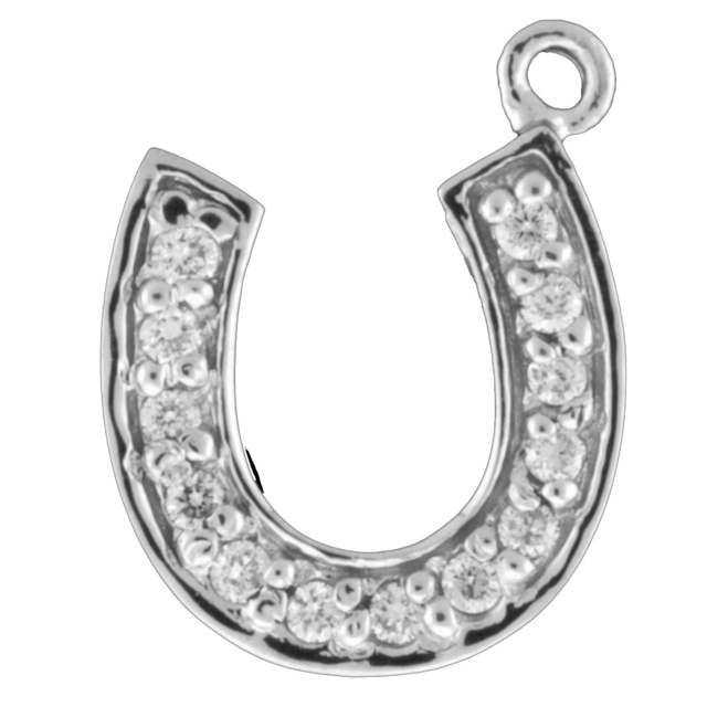 Horse Shoe Diamond Charm